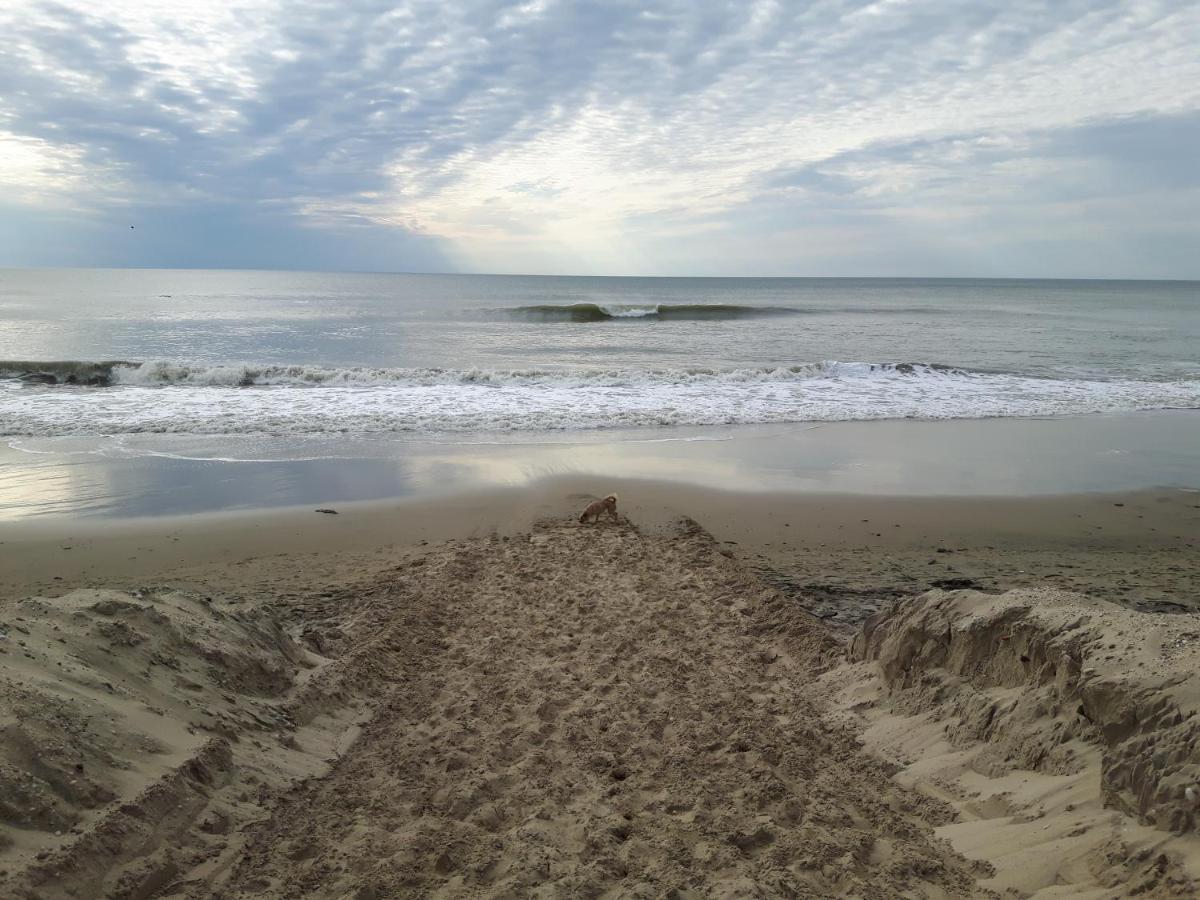 Appartement Soulac Sur Mer A 500 M De La Plage N 5 Dış mekan fotoğraf